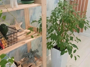 Квартира DeLuxe