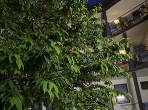 Гостевой дом Родительский очаг