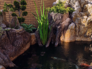 Гостевой дом Софи