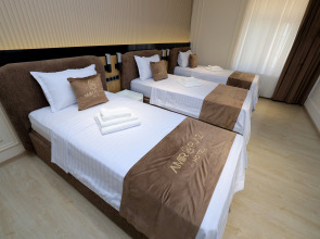 Отель AMIR PLAZA