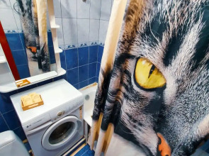 Апартаменты Толстого 10