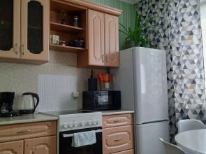 Апартаменты Рыжий Кот возле Парка