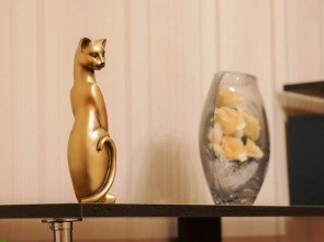 Апартаменты Петровские на пер. Нечевский 21/1