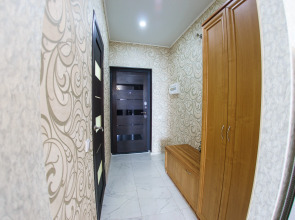 Апартаменты Inndays на Проспекте Ленина 130 (2)