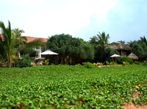 Отель Temple Tree Resort & Spa