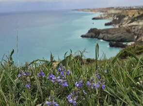 Апартаменты 2 на мысе Фиолент