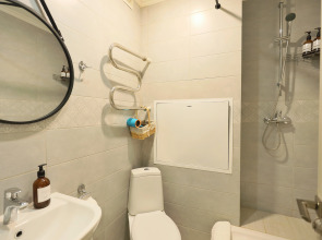 Апартаменты Атмосферная студия в Звенигороде