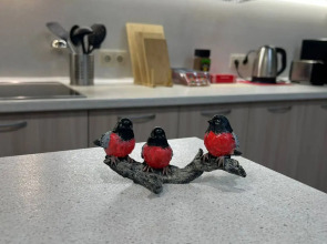 Отель Снегири