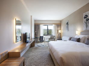 Отель Park Dedeman Denizli