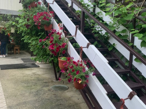 Гостевой дом Домик у Моря