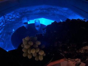 Глэмпинг Глэмпгеокупол "Домик на Оке" Таруса