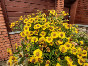 Гостевой дом Суздальское подворье с русской баней