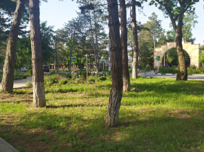 Апартаменты Студия ЖК Кавказ