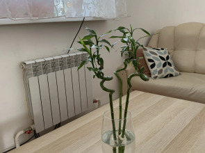 Гостевой дом Гармония