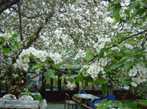 Гостевой дом КартошКино