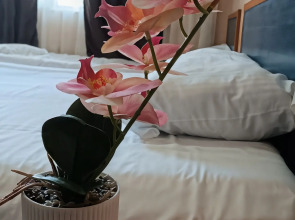 Гостевой дом Тенистый Берег