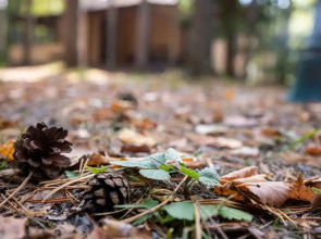 Отель База отдыха Заветное