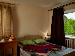 Апартаменты Дохтурова 1