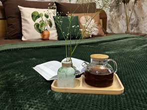 Апартаменты Leventsovsky