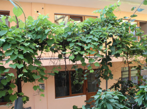 Гостевой дом В гостях у Джулии