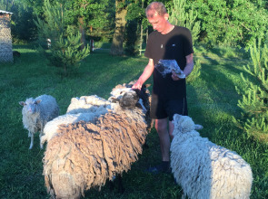 Гостевой Дом агроусадьба постоялый двор Багнюки