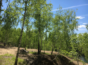 Загородный клуб Владимир