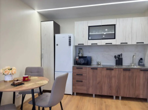 Квартира Евродвушка в центре Уссурийска