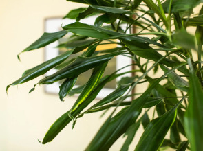 Апартаменты Никитский Бульвар 9