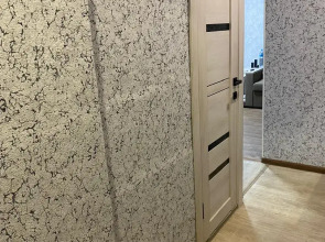 Квартира Большевиков 21А