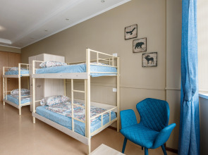 Хостел История