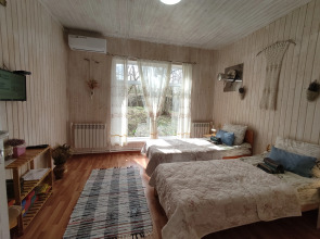 Частный дом у горной реки