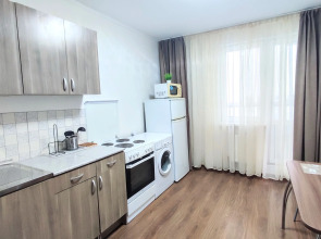 Квартира DailyRent-NN Апартаменты на Краснозвёздной рядом с Океанисом