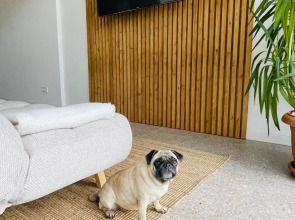 Апартаменты Familiya Gurzuf 12