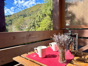 Квартира С отдельной спальней и балконом в центре Поляны