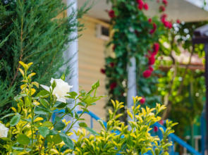 Гостевой Дом Гелиос