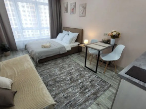 Студия СИБИРЬ HOUSE новой дом в центре