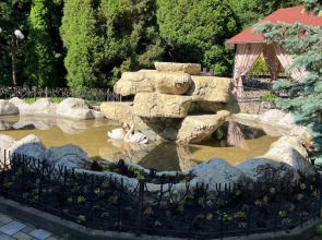 Отель Лесная поляна