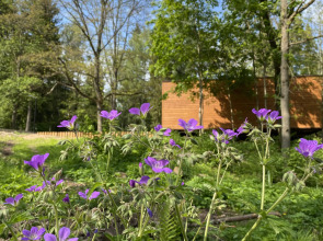 Отель Ruza Forest