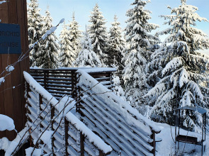 Коттедж Черничный Склон Orhid House