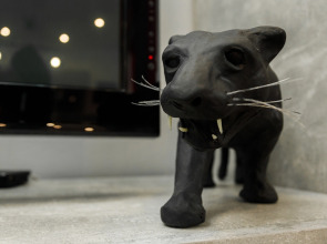 Апартаменты Radius Central House c компанией Домашний Уют 2