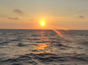 Апартаменты CODE 39