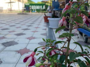 Гостевой Дом Людмила