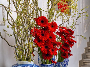 Отель Mr CAS Hotels