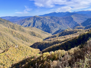 Меблированные комнаты Надежда