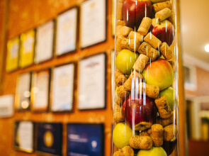 Отель Курский Соловей