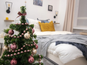 Апартаменты Studio Ante