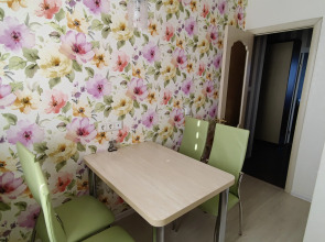 Апартаменты трехкомнатные  у Елены