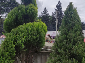 Гостевой дом Есения