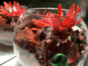 Апартаменты Newstory 1