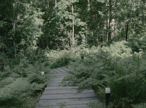 Шале Лесной восход